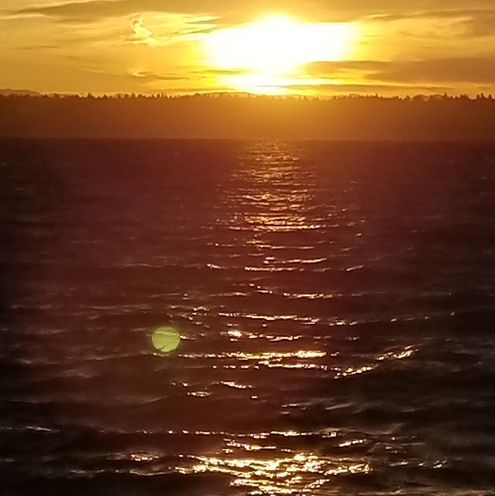 Meet your Posher, Sherri